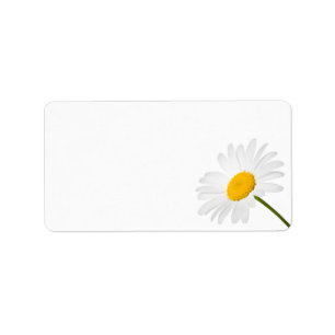Etiqueta Flor da camomila isolada no fundo branco
