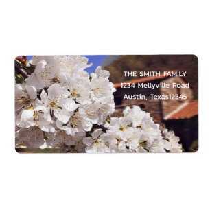 Etiqueta Flor de cerejeira. Mola