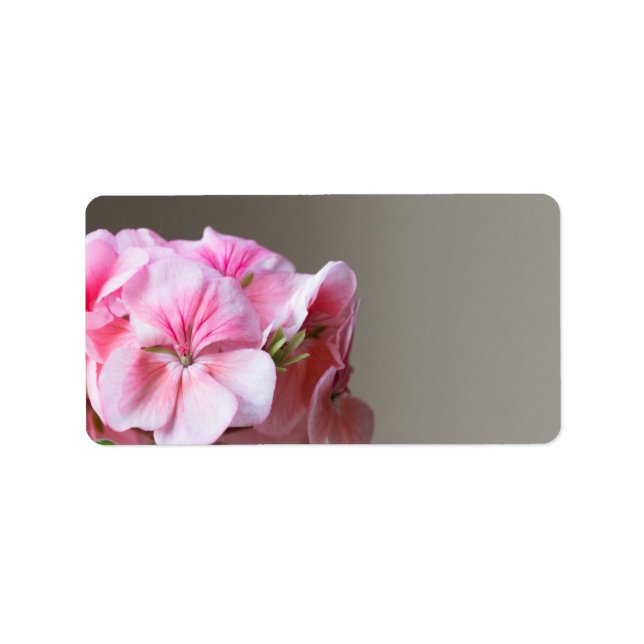 Etiqueta Flor de gerânio rosa (Frente)