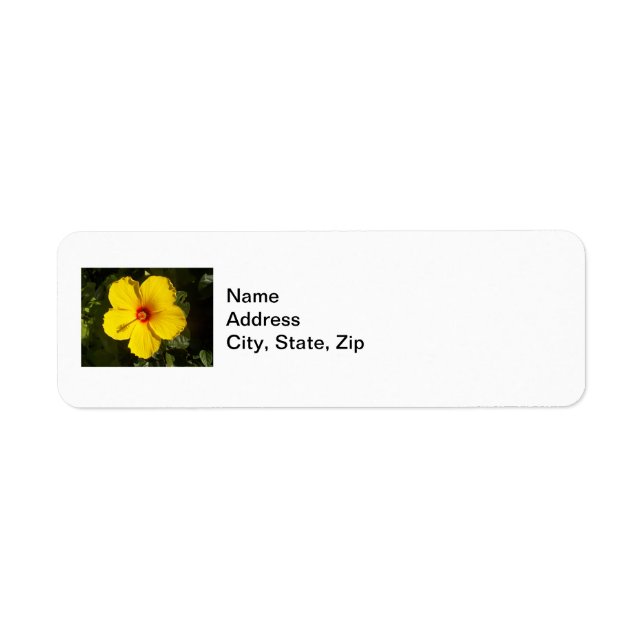 Etiqueta Flor de Hibiscus Amarelo (Frente)