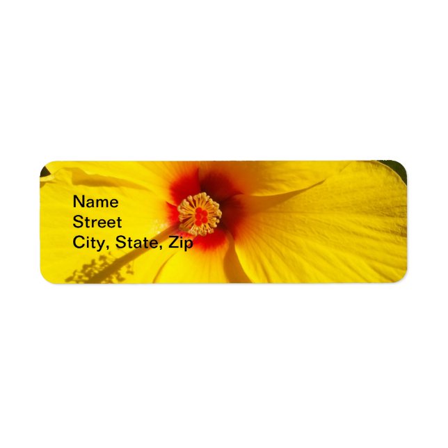 Etiqueta Flor de Hibiscus Amarelo (Frente)