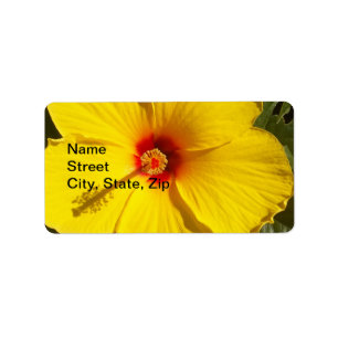 Etiqueta Flor de Hibiscus Amarelo