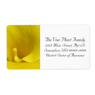 Etiqueta Flor de Lírio Amarelo Calla