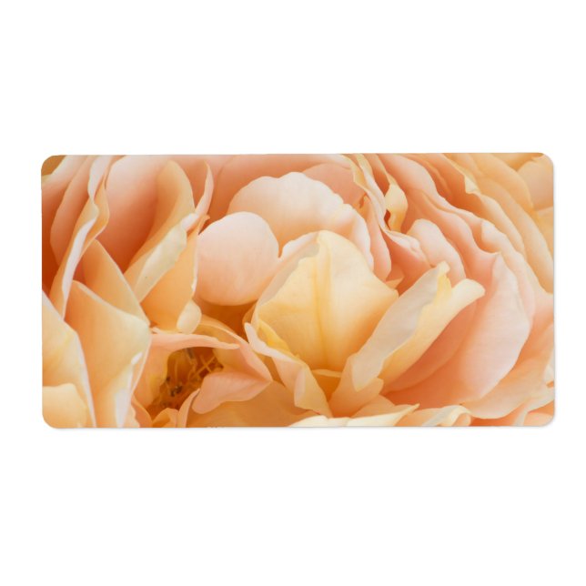 Etiqueta Flor de rosa amarela (Frente)