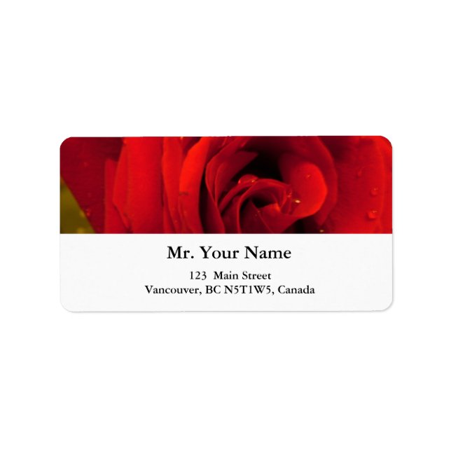 Etiqueta flor de rosa vermelha (Frente)