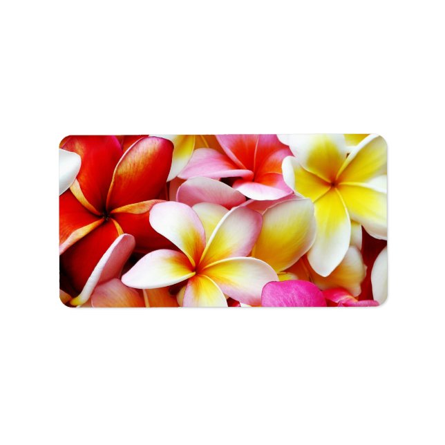 Etiqueta Flor Plumeria Frangipani Hawaii Personalizado (Frente)