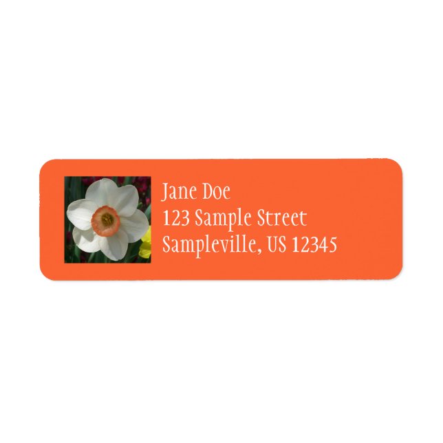 Etiqueta Flor-Primavera Daffodil Rosa (Frente)