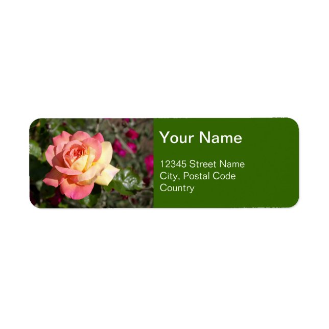 Etiqueta Flor rosa bonito e rosa amarela, sob medida (Frente)