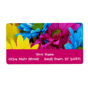 Etiqueta Flores azuis das margaridas de Gerber da cerceta