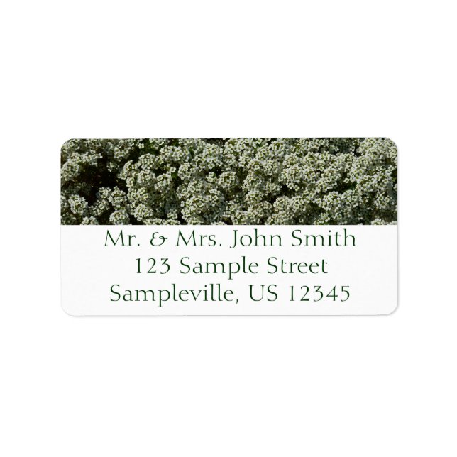 Etiqueta Flores de Alyssum Doce Floral Branco (Frente)