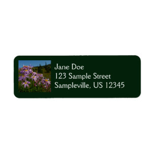 Etiqueta Flores de Aster Roxo no Monte Rainier