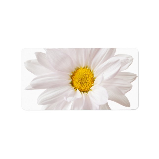 Etiqueta Flores de margarida branca Flores de margarida mar (Frente)