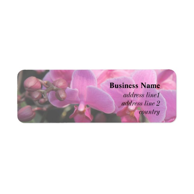 Etiqueta Flores-de-orquídea-rosa bonito (Frente)