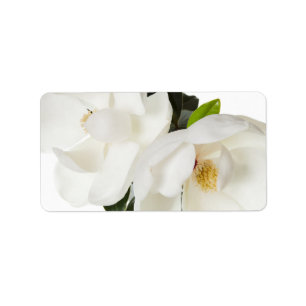 Etiqueta Flores florais das magnólias brancas da flor da