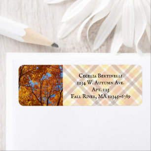 Etiqueta Folhagem Colorida De Açúcar Laranja Amarelo/Qued