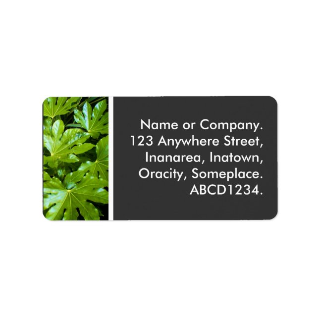 Etiqueta Folhas (Frente)