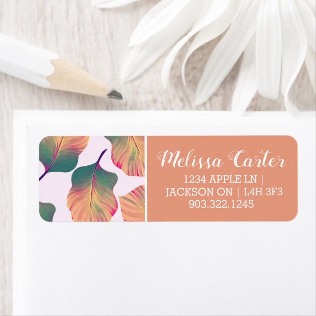 Etiqueta Folhas de Canna Tropicanna em Pastel (Insitu)