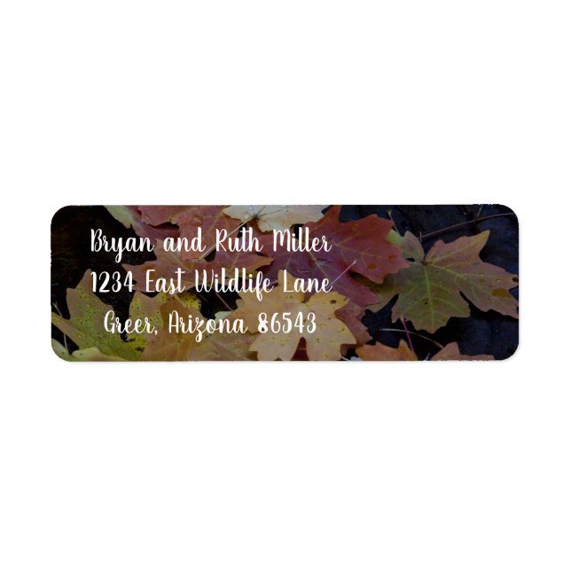 Etiqueta Folhas de outono por todo o lado (Frente)