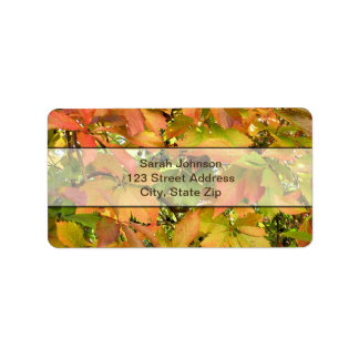 Etiqueta Folhas de videira selvagens do outono