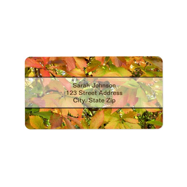 Etiqueta Folhas de videira selvagens do outono (Frente)