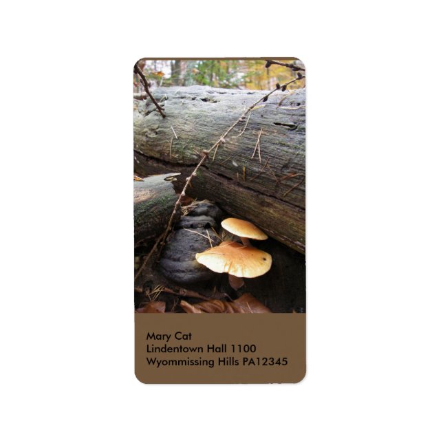 Etiqueta Forest Fungi nº 3 (Frente)