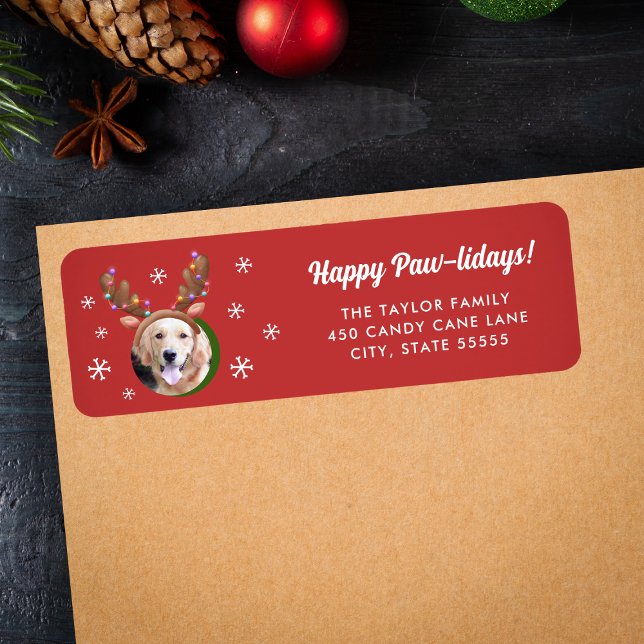 Etiqueta Foto de cão com Reindeer Antler Hábito (Criador carregado)