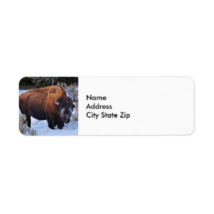 Etiqueta Foto de Neve Buffalo