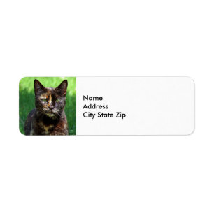 Etiqueta Foto do gato de Tortoisesinferno Castanho