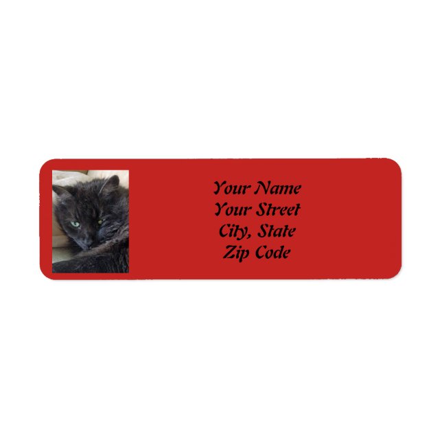 Etiqueta Foto Pet Personalizada (Frente)