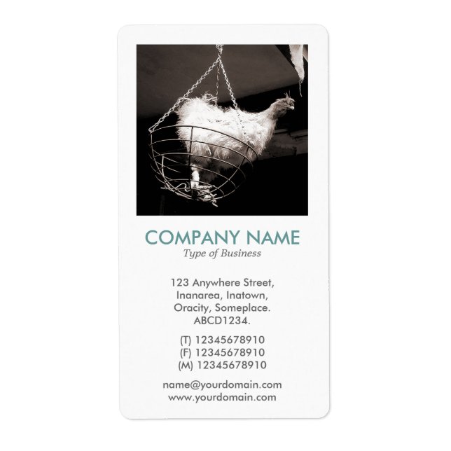 Etiqueta Foto quadrada V - Frango numa cesta (Frente)