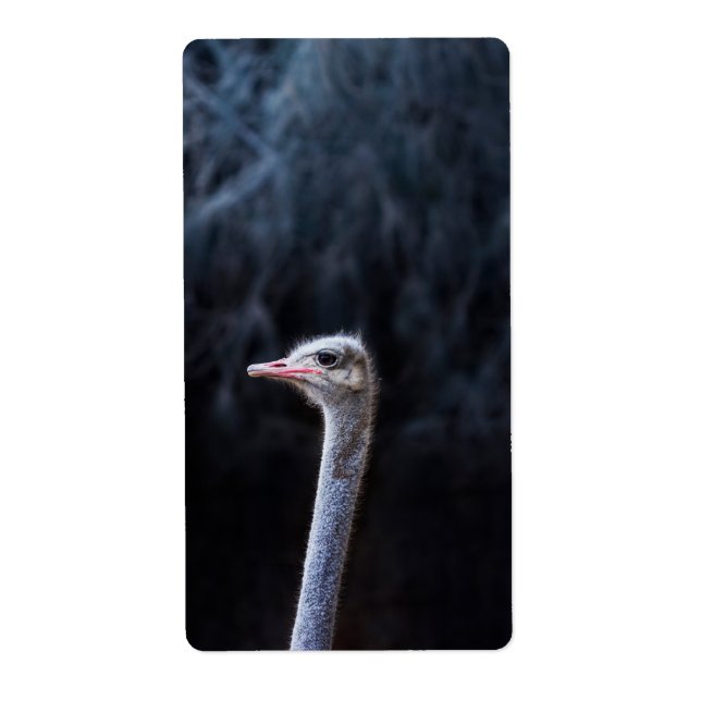 Etiqueta Fotografia de Avestruz (Frente)