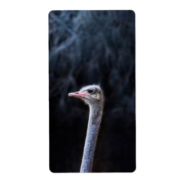 Etiqueta Fotografia de Avestruz (Frente)