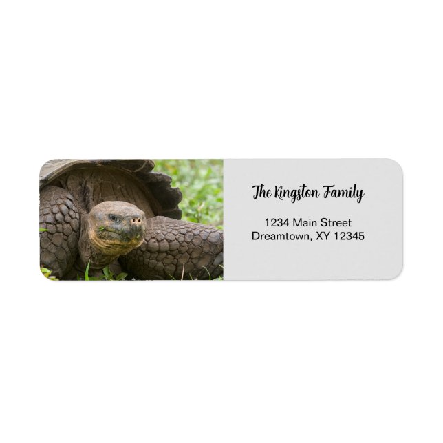 Etiqueta Fotografia de Giant Turtle personalizada Endereço  (Frente)