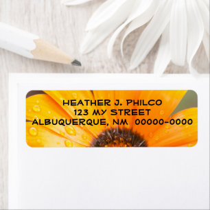 Etiqueta Fotografia de meia-estreia laranja-escuro