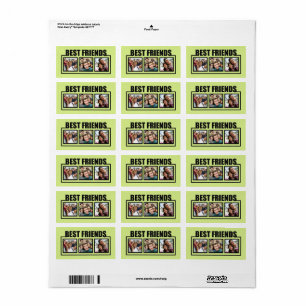 Etiqueta Fotos e cores personalizadas dos melhores amigos