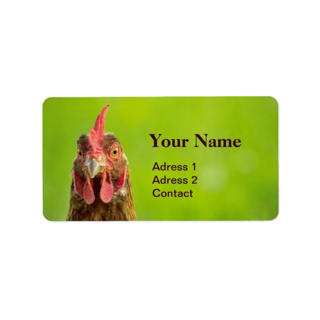 Etiqueta Frango Engraçado no Verde (Frente)