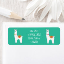 Funky alpaca drama lama