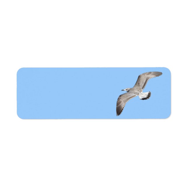 Etiqueta Gaivota (Frente)