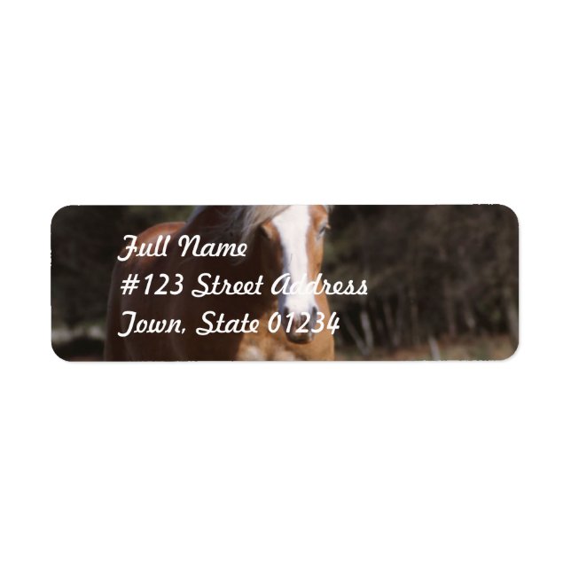 Etiqueta Galloping Palomino Mailing Labs (Frente)
