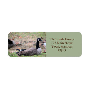 Etiqueta Ganso