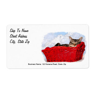 Etiqueta Gatinho do sono na cesta vermelha brilhante