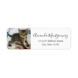 Etiqueta Gatinho Gatinho Gelado, Surpreso