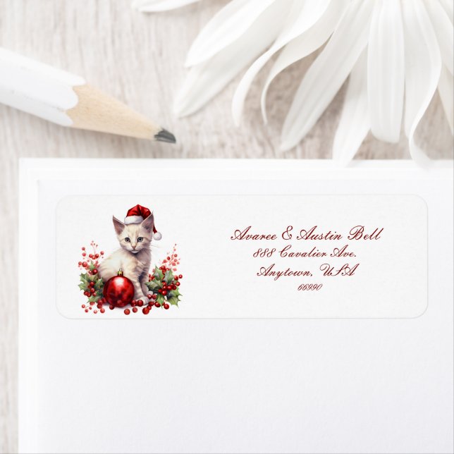 Etiqueta Gatinhos Vestidos Para O Natal (Insitu)