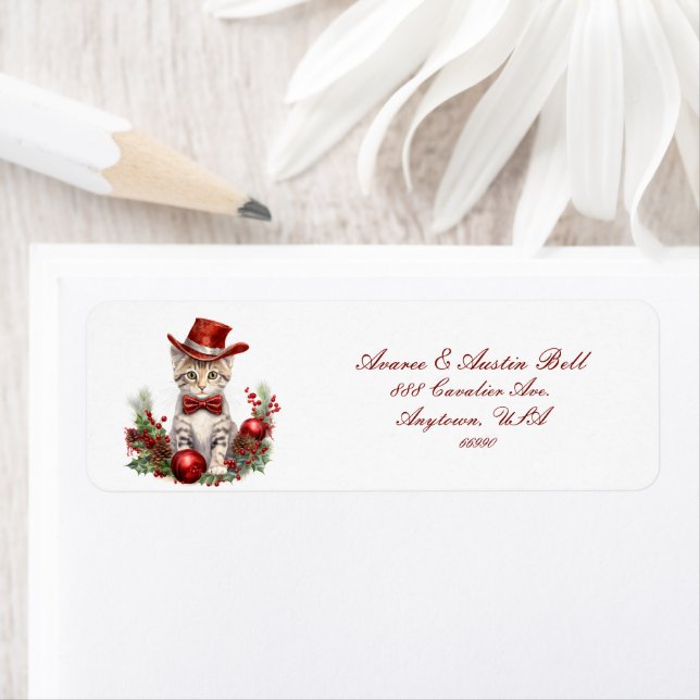 Etiqueta Gatinhos Vestidos Para O Natal (Insitu)