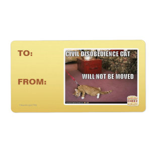 Etiqueta Gato da desobediência civil