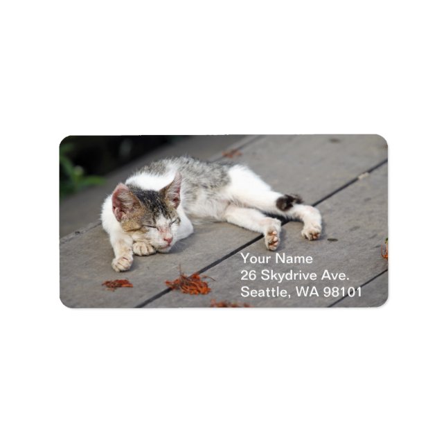 Etiqueta Gato de Dormir Feliz (Frente)