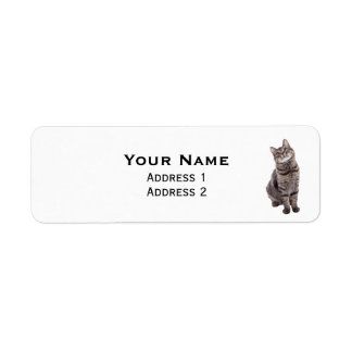 Etiqueta Gato de Tabby
