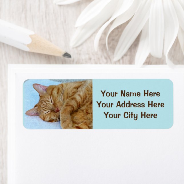 Etiqueta Gato Dormindo (Insitu)