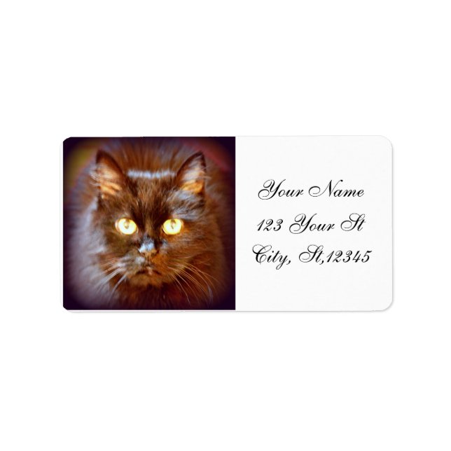 Etiqueta gato preto (Frente)