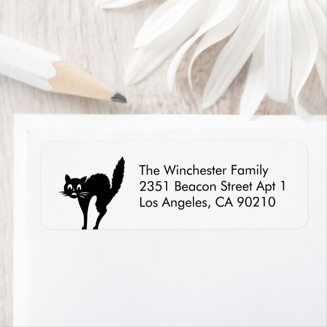 Etiqueta Gato preto branco bonito Endereço engraçado do Dia (Insitu)